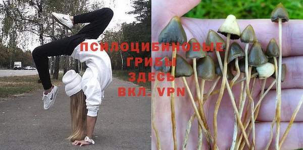 спайс Абдулино
