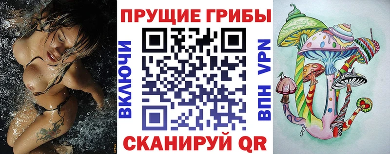 хочу наркоту  Воронеж  Галлюциногенные грибы GOLDEN TEACHER 